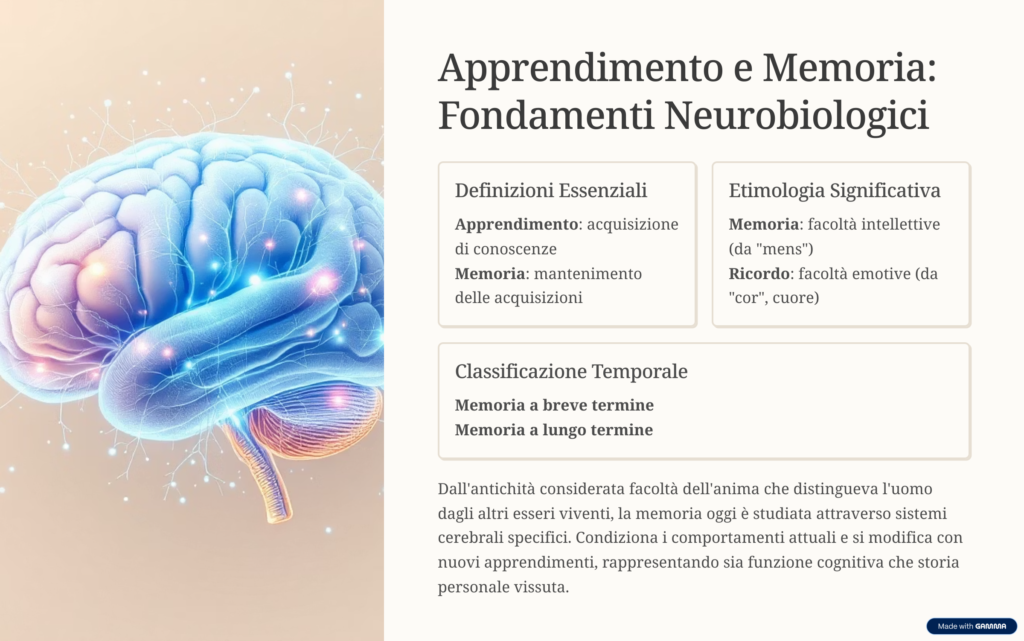 Slide sintetica di apprendimento e memoria