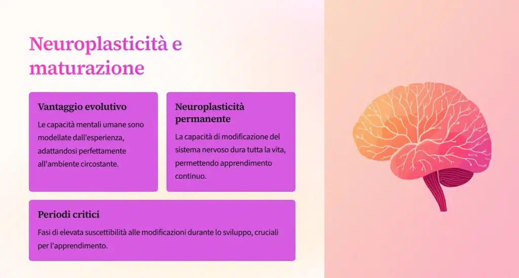 Slide sulla neuroplasticità