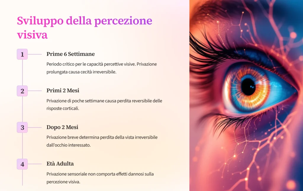 Slide sull’esperienza visiva